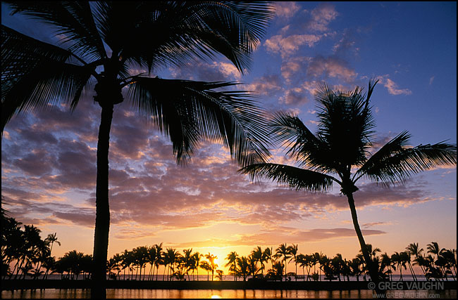 palm trees at sunset, Anaehoomalu Bay
