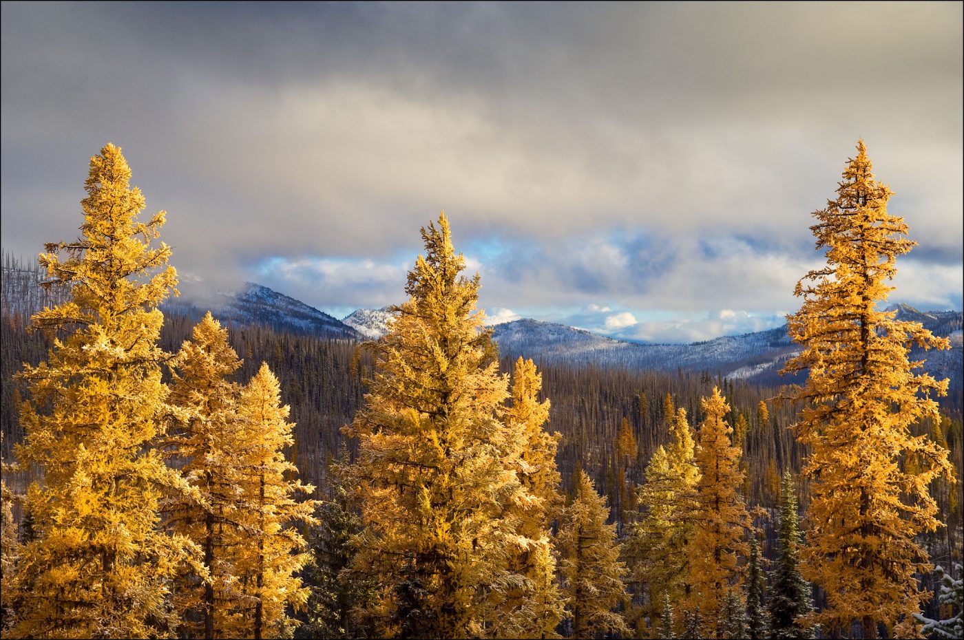 Top Spots for Fall Color in Oregon Wanders & Wonders