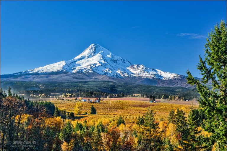 Top Spots for Fall Color in Oregon Wanders & Wonders