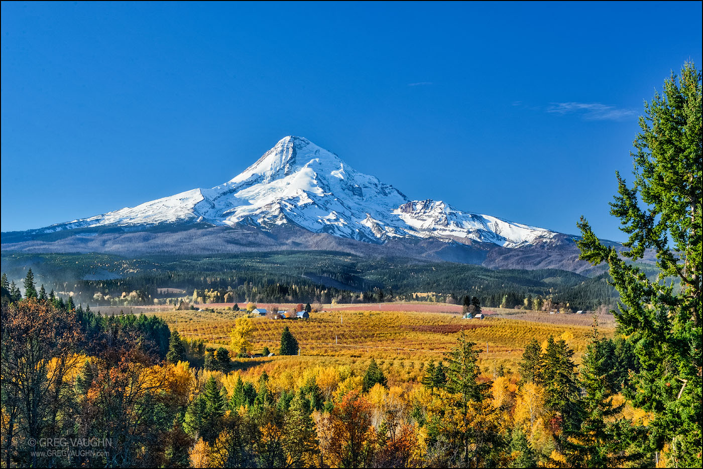 Mount Hood and the Hood River Valley with fruit tree orchards in fall color.
