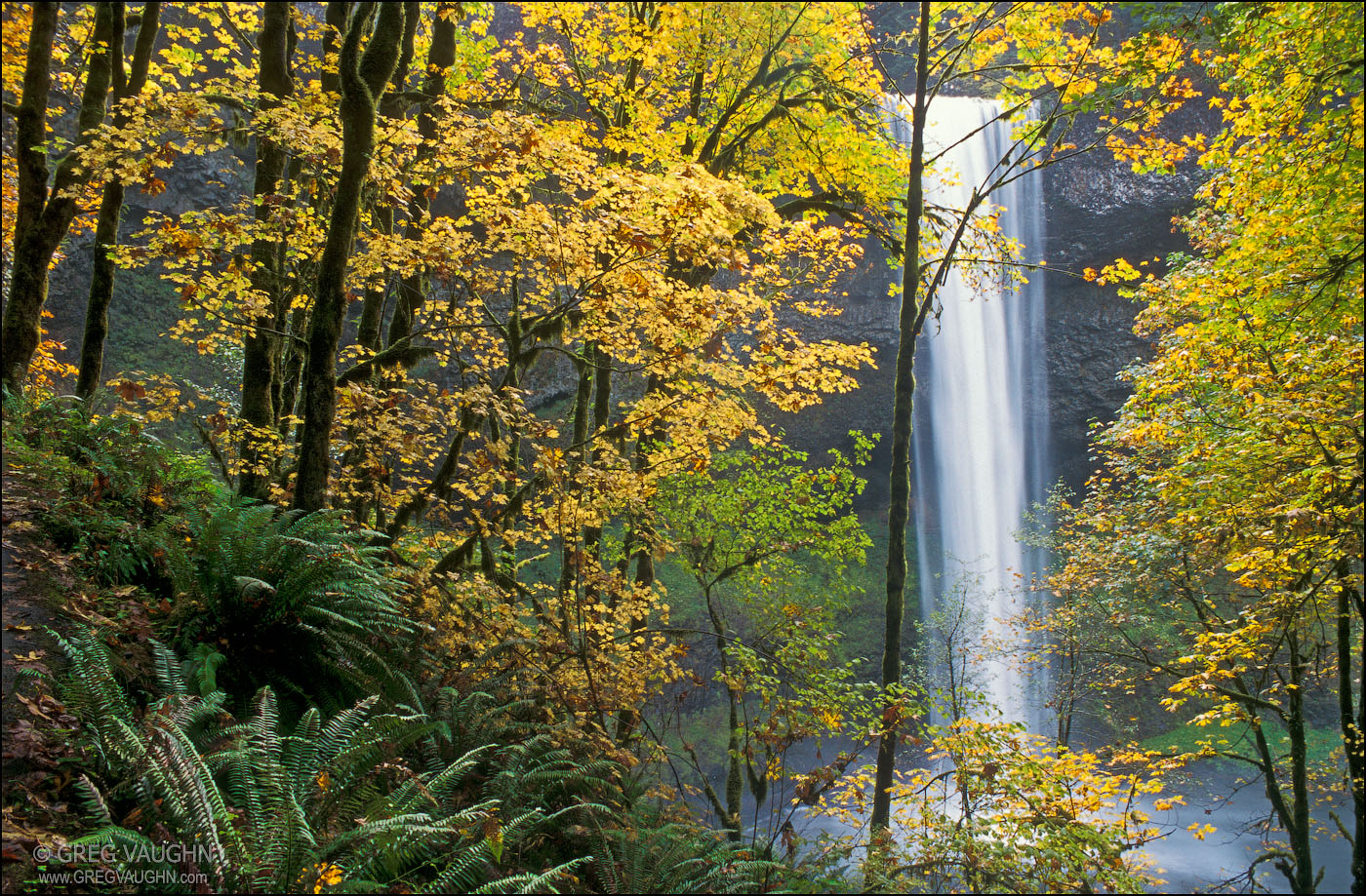 Top Spots for Fall Color in Oregon Wanders & Wonders