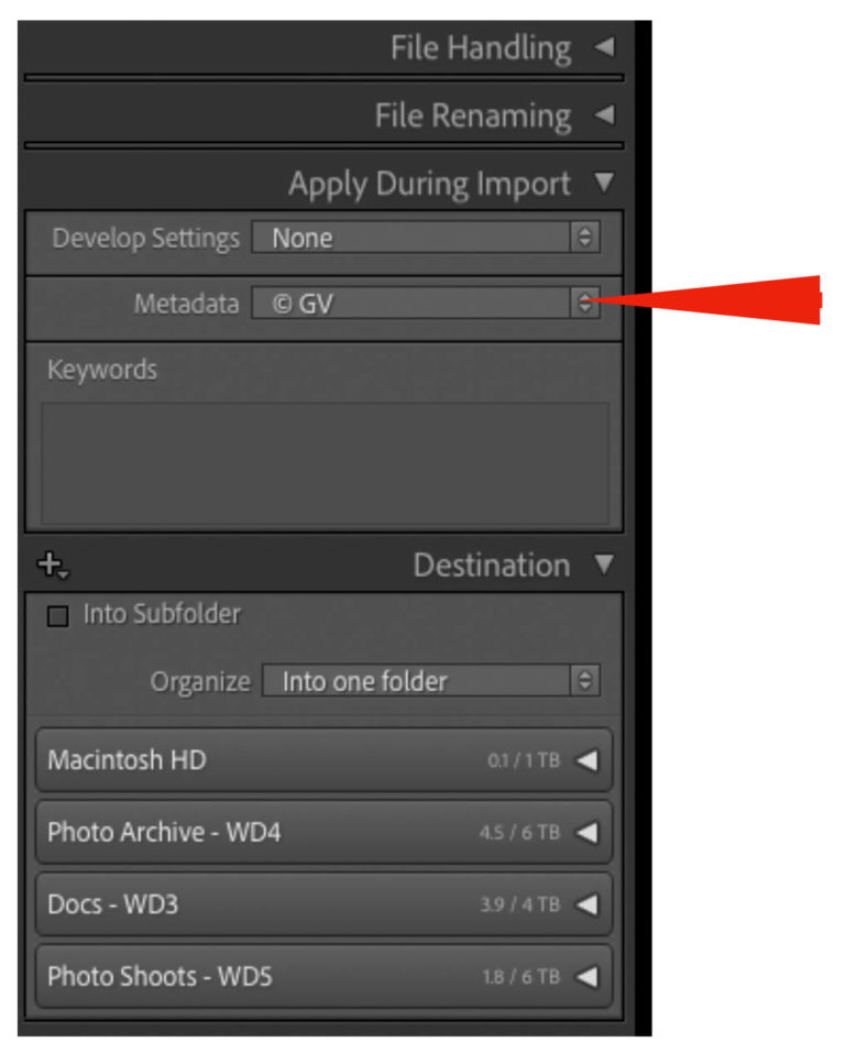 Creating a Preset to add Metadata on Import in Lightroom | Wanders and ...