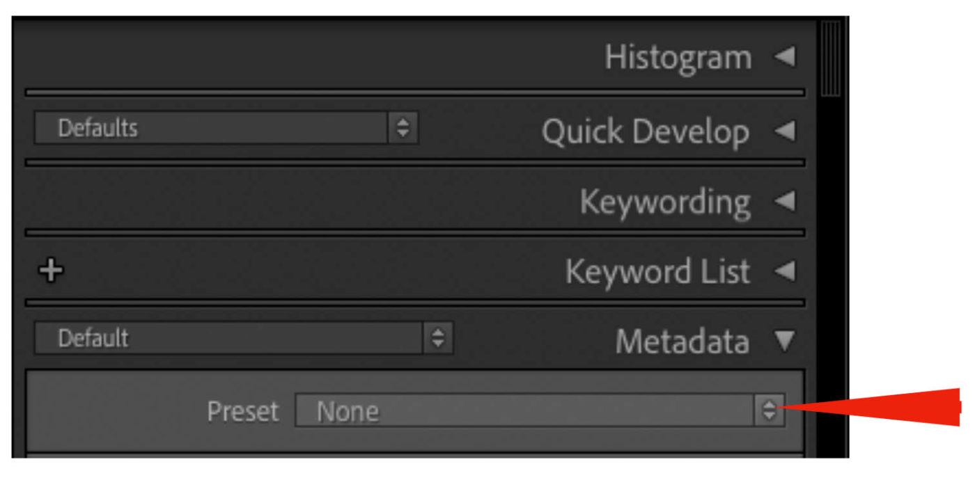 screenshot of Lightroom's import menus