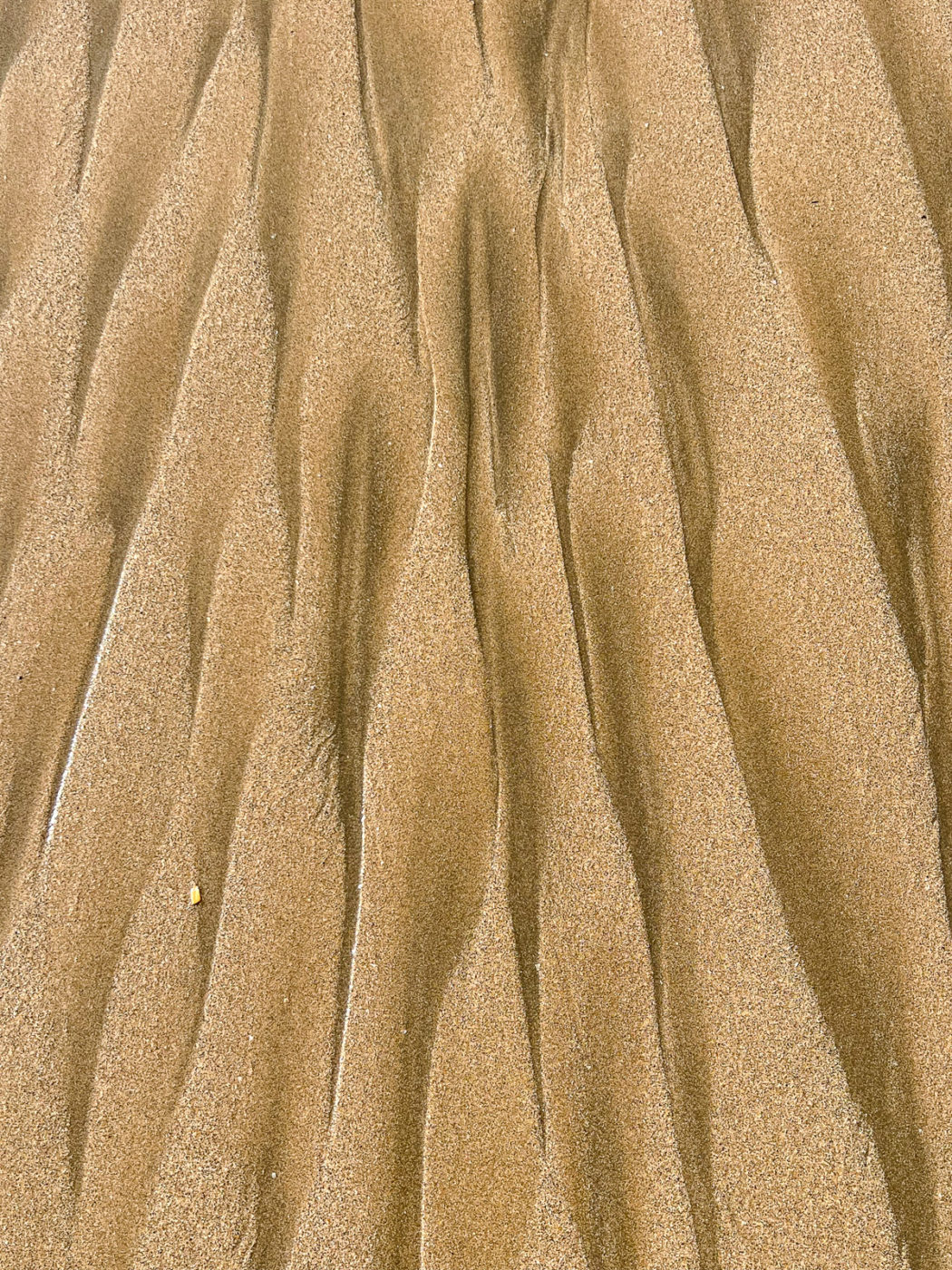 sand patterns on the beach on the Nayarit coast of Mexico